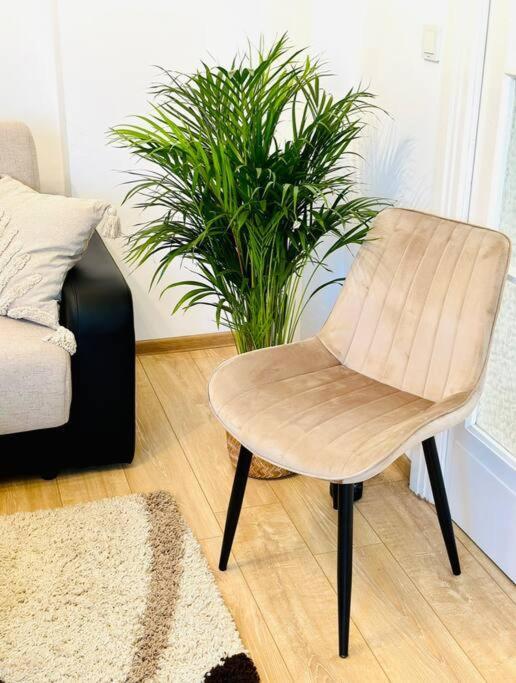 Cozy 1Br Apartment•Central•Quiet Βουκουρέστι Εξωτερικό φωτογραφία